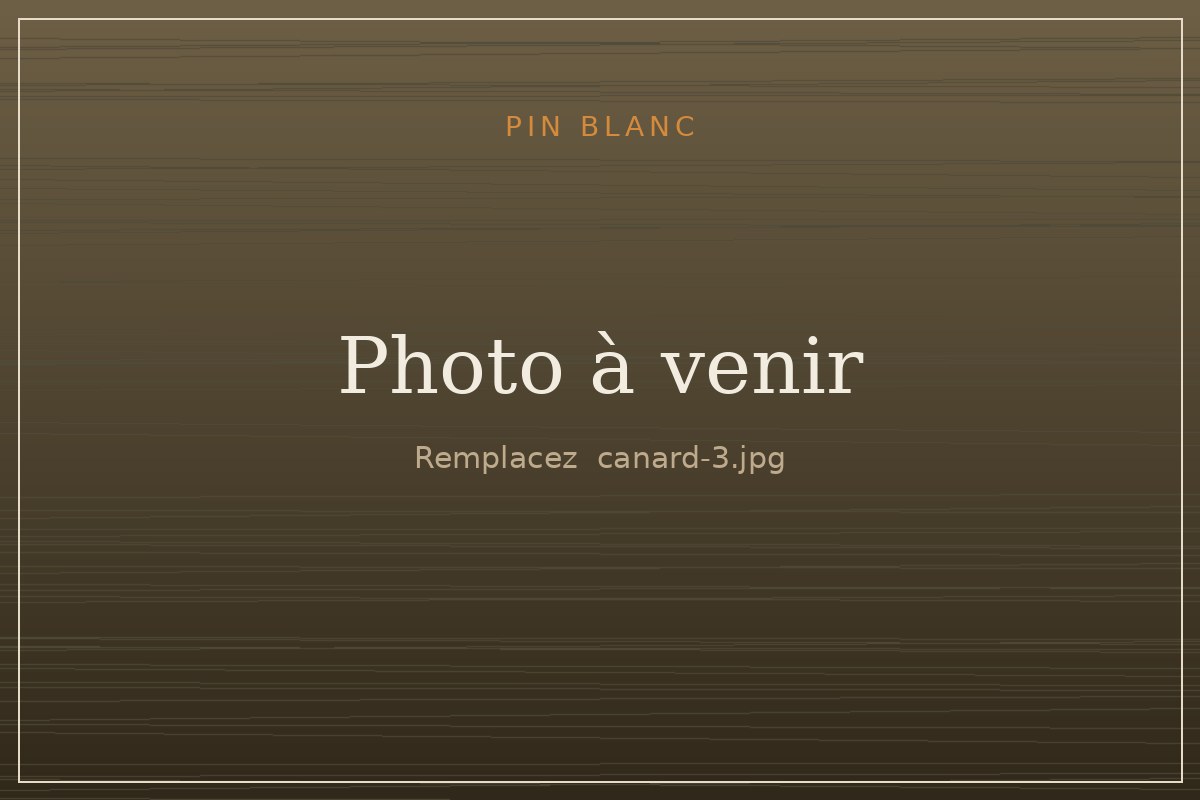 Garrot à œil d'or sculpté dans le pin, peint à la main